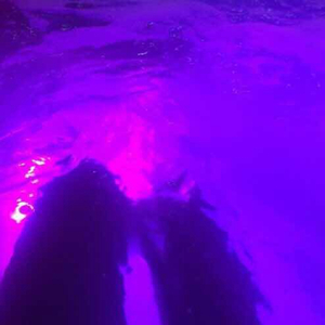 丨国产丨精品|免费软件
